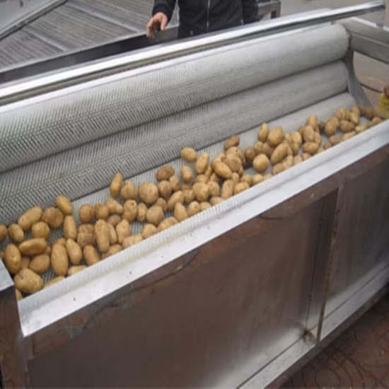 Melhor máquina industrial para descascar batatas, descascador e descascador